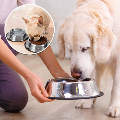 L'Acier Inoxydable, un Choix Judicieux