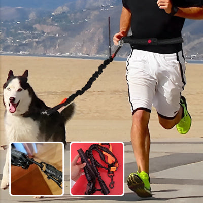 Laisse pour chien confortable