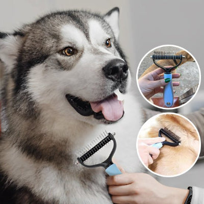 Brosse chien Transformez le Toilettage en Moment de Bonheur pour Votre Chien