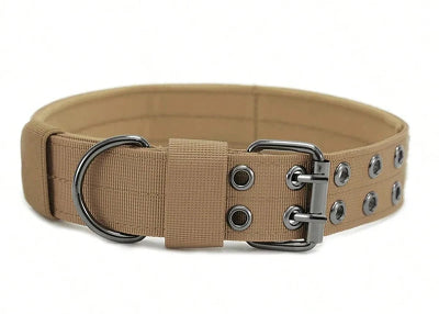collier chien confort