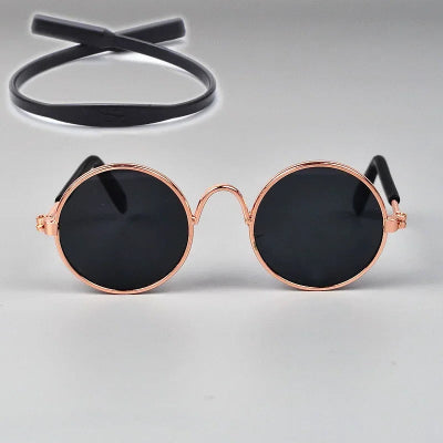lunette de soleil pour animal son trĂšs confort et polyvalent