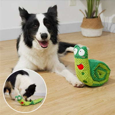 un bon compagnon pour réduire l'anxiété de séparation des animaux de compagnie.