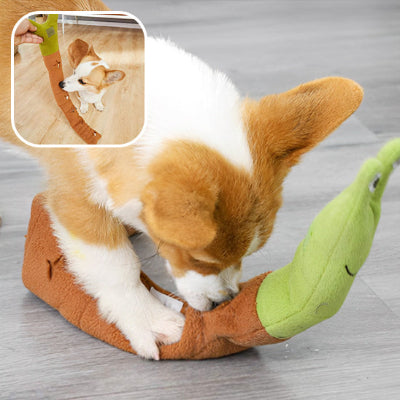 Sécurité et Durabilité : Notre Priorité pour Votre Jouet pour Chien