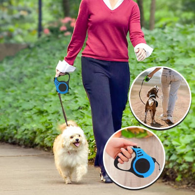 Laisse pour chien
