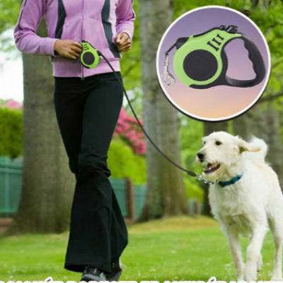 ContrĂŽle Intelligent pour des Promenades Sereines
