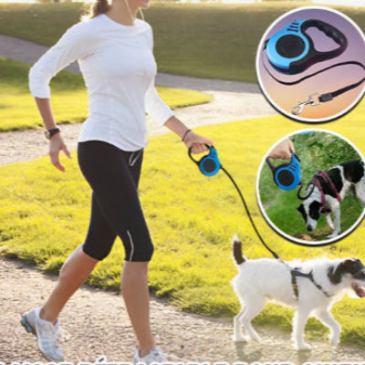 Laisse pour Chien Rétractable : Sécurité et Liberté pour Votre Compagnon