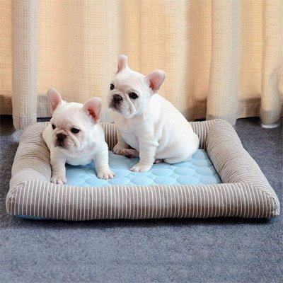 Tapis RafraĂźchissant pour Chien | FreshPaws