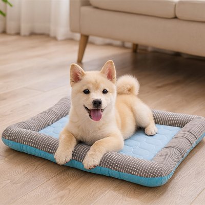 Tapis RafraĂźchissant pour Chien | FreshPaws