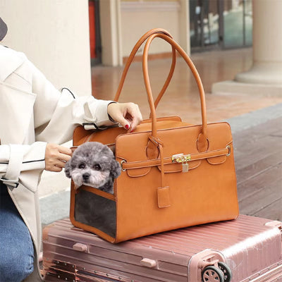 sac de transport pour chien- beige 3