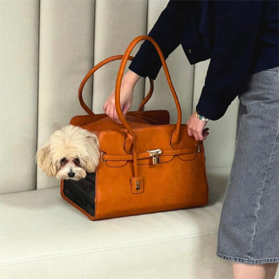 sac de transport pour chien_ beige 1