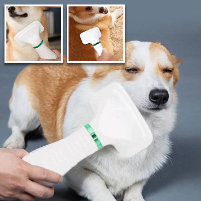 Transformez le Toilettage de Votre Chien en un Moment de Plaisir