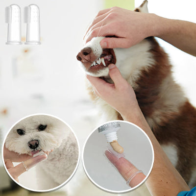 Un Nettoyage Doux et Efficace pour la Santé Bucco-Dentaire de Votre Chien