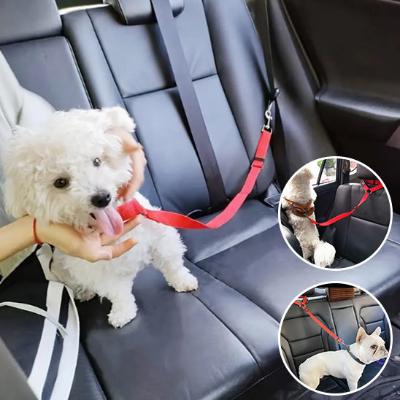 Ceinture_de_securite Sécurité et Confort : La Combinaison Parfaite pour Votre Animal