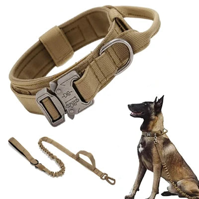 Un Collier Chien Conçu pour la Performance et la Sécurité
