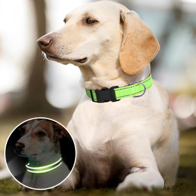 collier chien vert