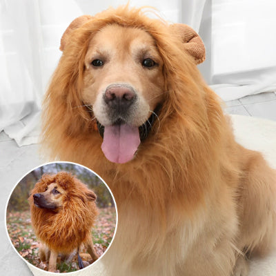 déguisement chien le roi de la jungle 