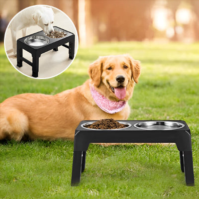 gamelle  pour chien stable est sécuritaire 
