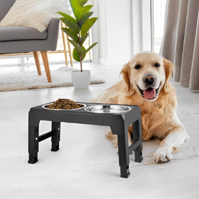 gamelle chien confort 