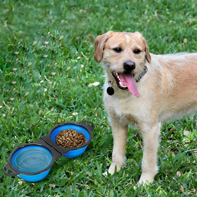Gamelle Chien Double Pliable : L'Accessoire Indispensable pour Votre Compagnon
