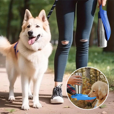 gourde pour chien pour les balade 