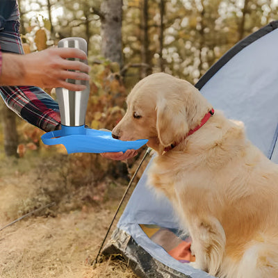 gourde pour chien parfaite 