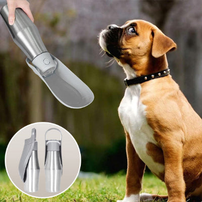 gourde pour chien adapté pour les voyages, la marche, le camping