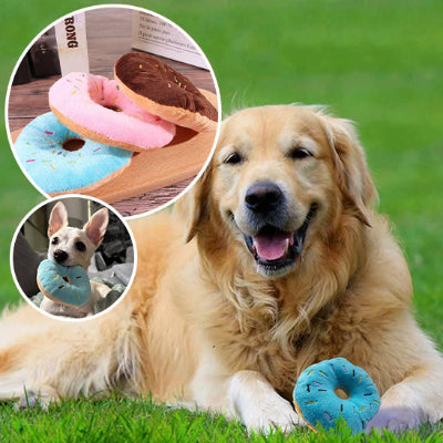 jouet pour chien son stress
