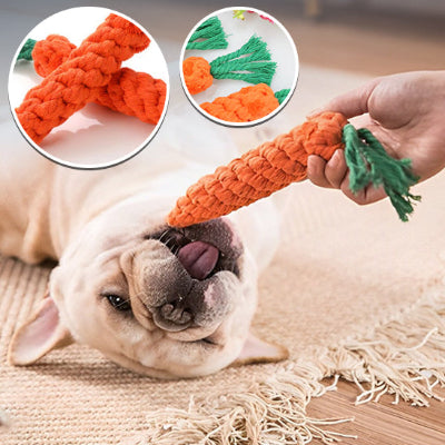 jouet pour chien   soulager le stress, l'anxiété et l'ennui.