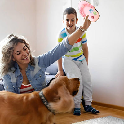 jouet pour chien  amusant  