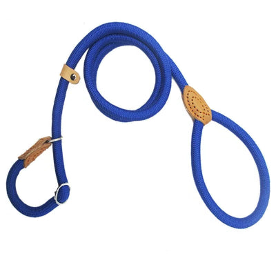 Laisse pour chien  couleur bleu