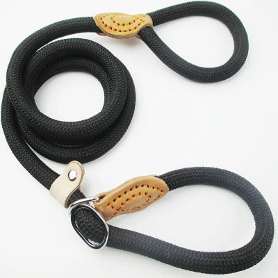 Laisse pour chien  couleur noir 