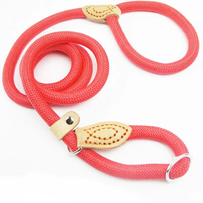 Laisse pour chien  couleur  rose