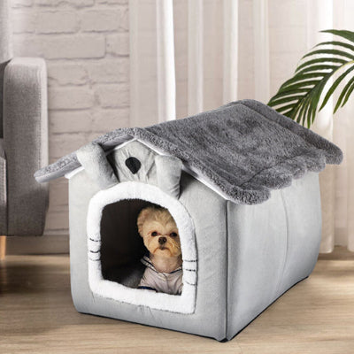 Un Investissement Durable pour le Bien-être de votre Chien