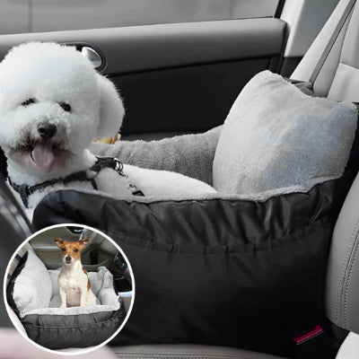 Confort et Sécurité : Le Duo Gagnant de Notre Panier pour Chien