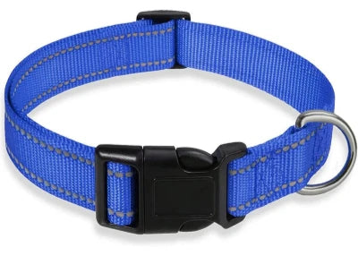 collier chien bleu