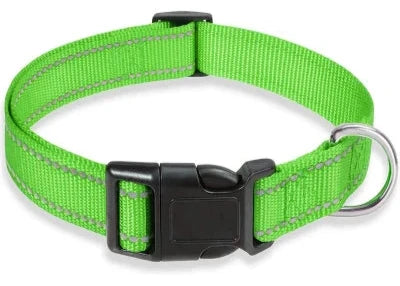 collier chien  vert