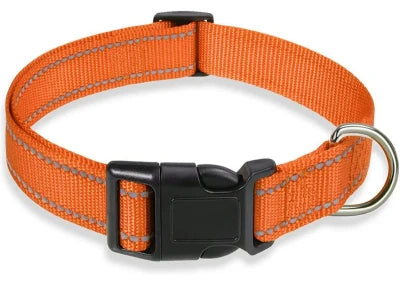 collier chien orange