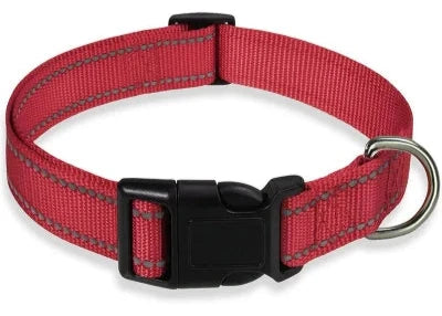 collier chien  rouge