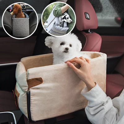 Voyagez sereinement avec votre chien