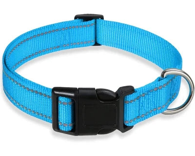 collier chien  bleu