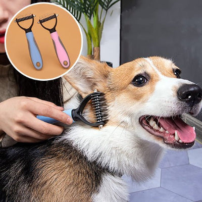 Brosse chien - efficace  