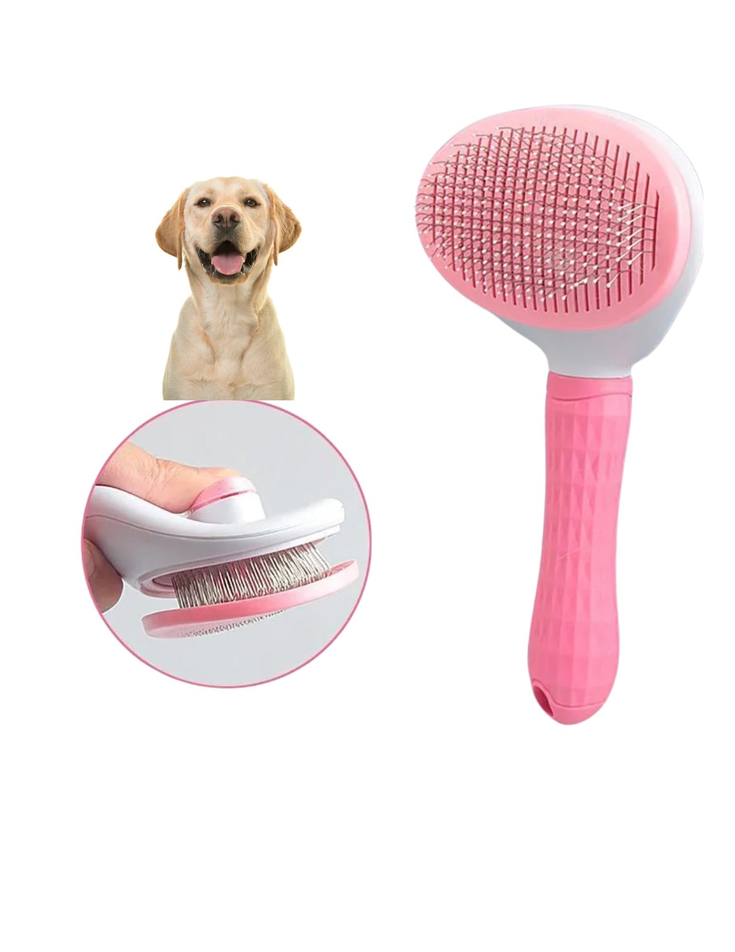 Brosse pour Chiens - Planet de chiens