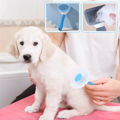 Brosse pour Chiens  Le Secret d'un Pelage Impeccable
