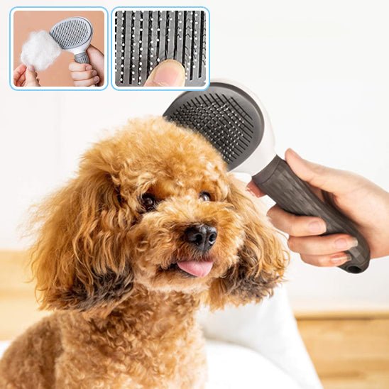 Brosse toilettage pour Chiens - Planet de chiens