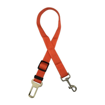 ceinture de sécurité Confort Inégalé pour Votre Compagnon