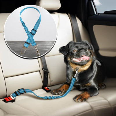 Notre ceinture de sécurité pour animaux vous aide à respecter ces lois