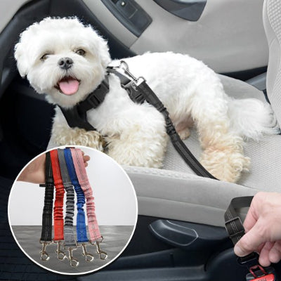 La Ceinture de Sécurité pour Animaux : Sécurité et Confort Assurés
