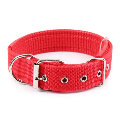 Collier chien rouge