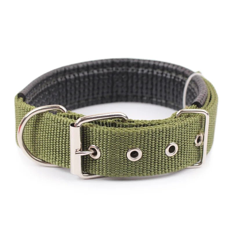 Collier chien - Planet de chiens