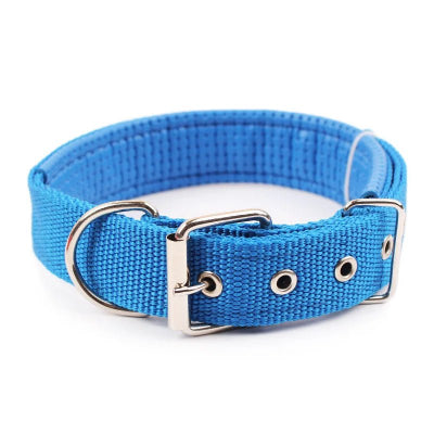 Un Collier de Chien Adapté à Tous les Gabarits